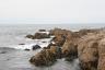 asilomar 060.jpg